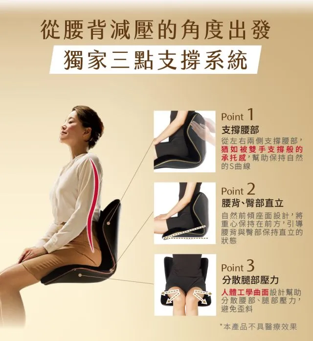 Style PREMIUM DX 健康護脊椅墊-頂級款